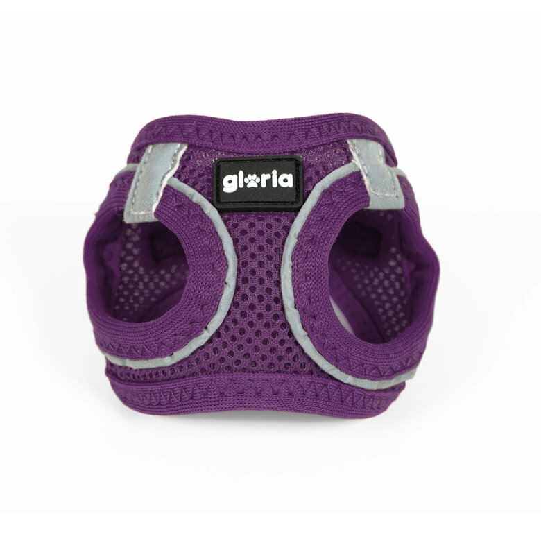 Arnés para perros Gloria Air Mesh Morado