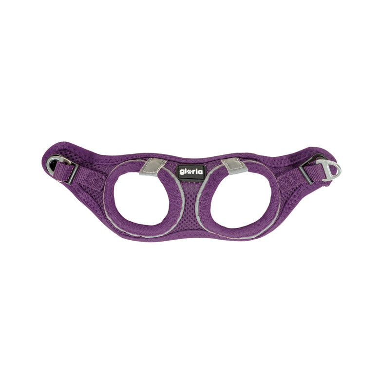 Arnés para perros Gloria Air Mesh Morado - Imagen 2